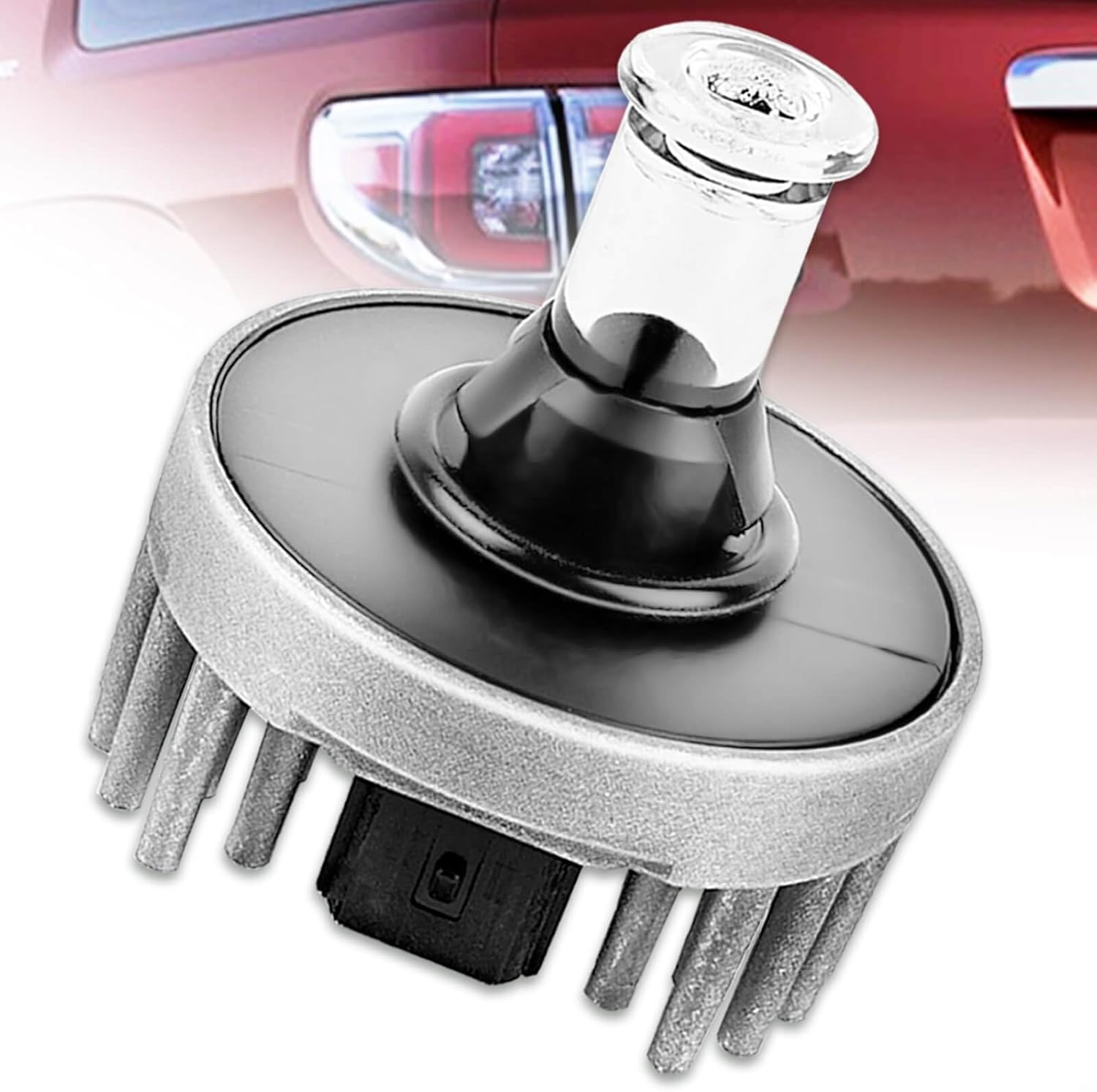 GM 13582912 Bulb, Genuine OEM Part - OEM Cats