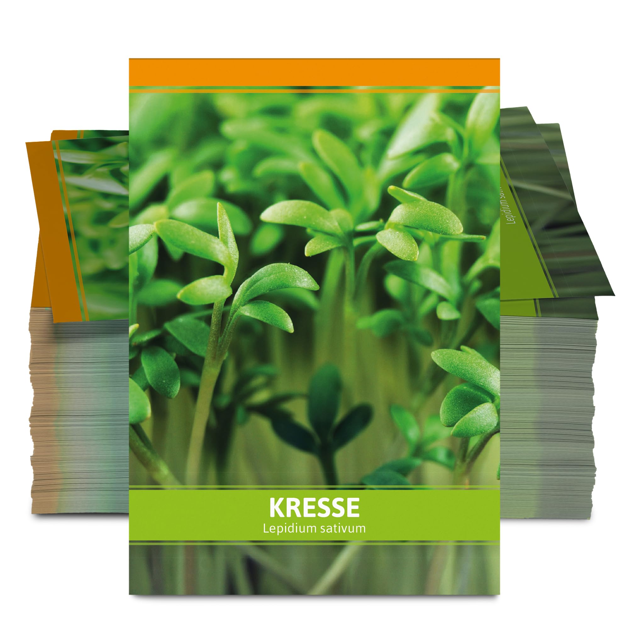 FLORTUS Kressesamen für Gastgeschenke (100 Stück) | Kleine Geschenktüten Sprossen Samen für Kresse als Dankeschön Geschenke & Werbegeschenke | Kräutersamen für Microgreens