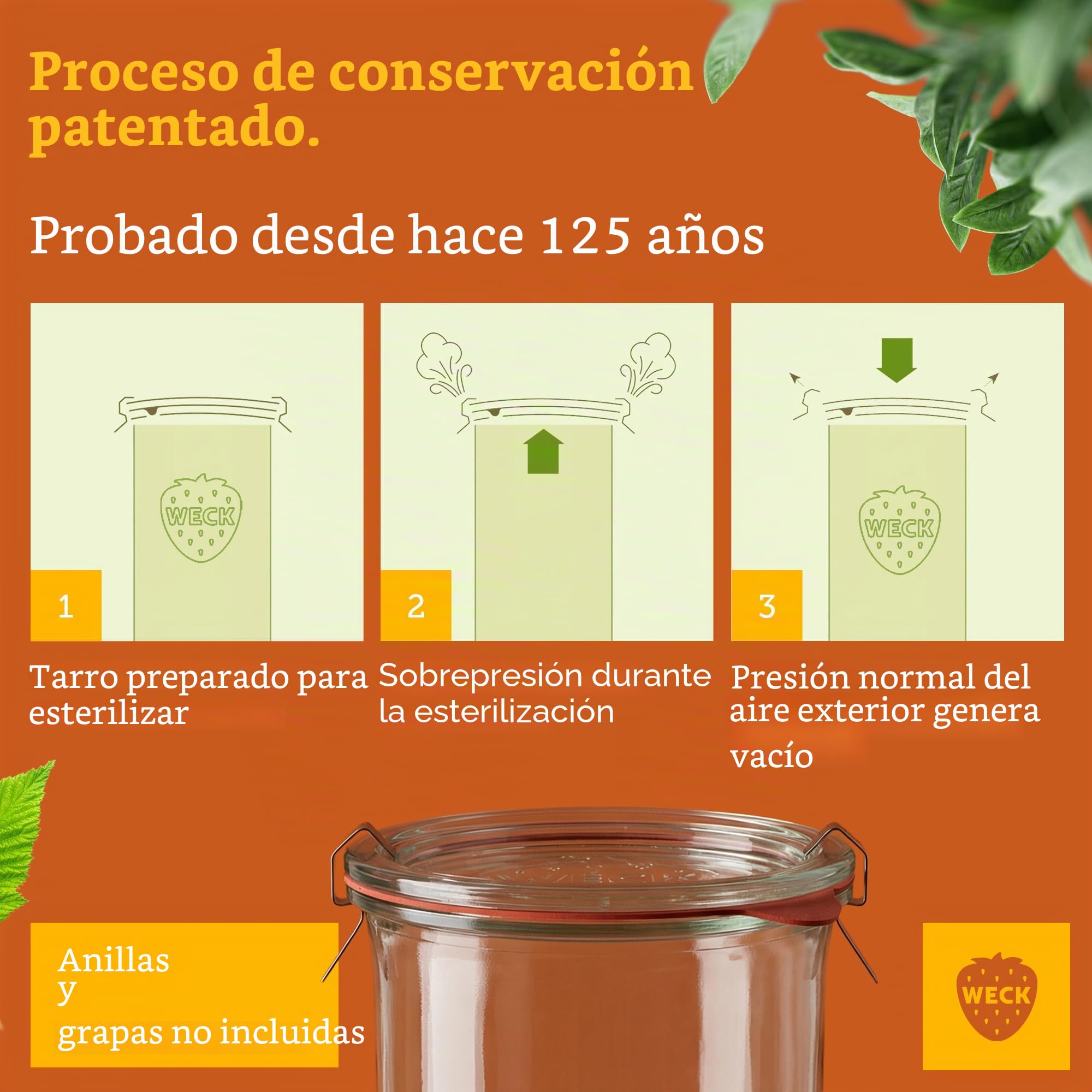 Weck Tarros de 1500 ml, juego de 6 con tapas, forma de gota, tarros de almacenamiento robustos y apilables y tarros de conserva, ideales para preparación de comidas, masa madre y fermentación