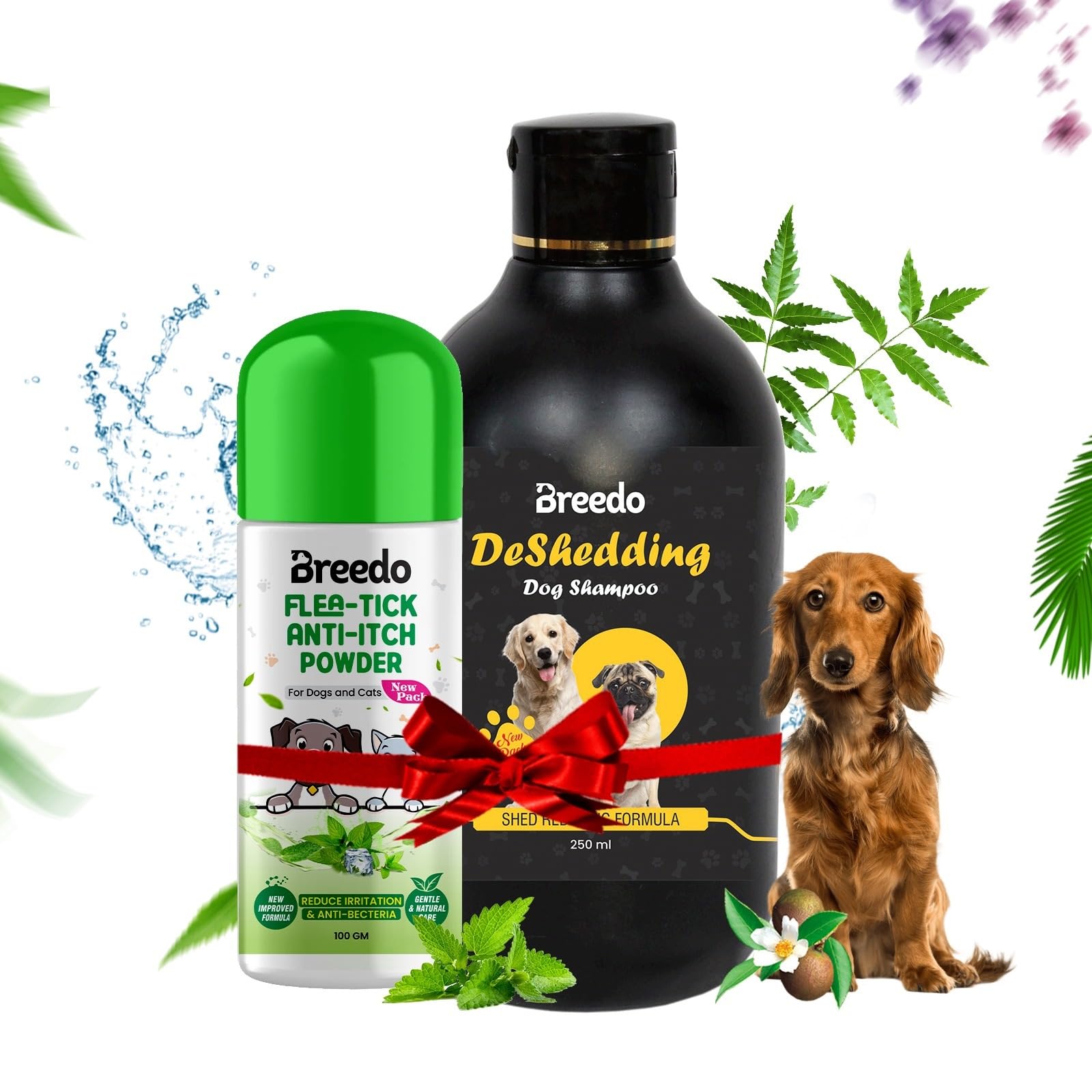 See full amazon price history chart for Breedo Ditch to Itch Dog Deshedding Shampoo | Dog Powder for Pomeranian, Shih tzu Puppy, Rottweiler Adult, German Shepherd, Labrador and Golden Retriever Powder for Persian Cat(Combo of 2) Breedo Ditch to Itch Dog Deshedding Shampoo | Dog Powder for Pomeranian, Shih tzu Puppy, Rottweiler Adult, German Shepherd, Labrador and Golden Retriever Powder for Persian Cat(Combo of 2) (B0CG6CYCJ8) Amazon Price History, Amazon Price Tracker