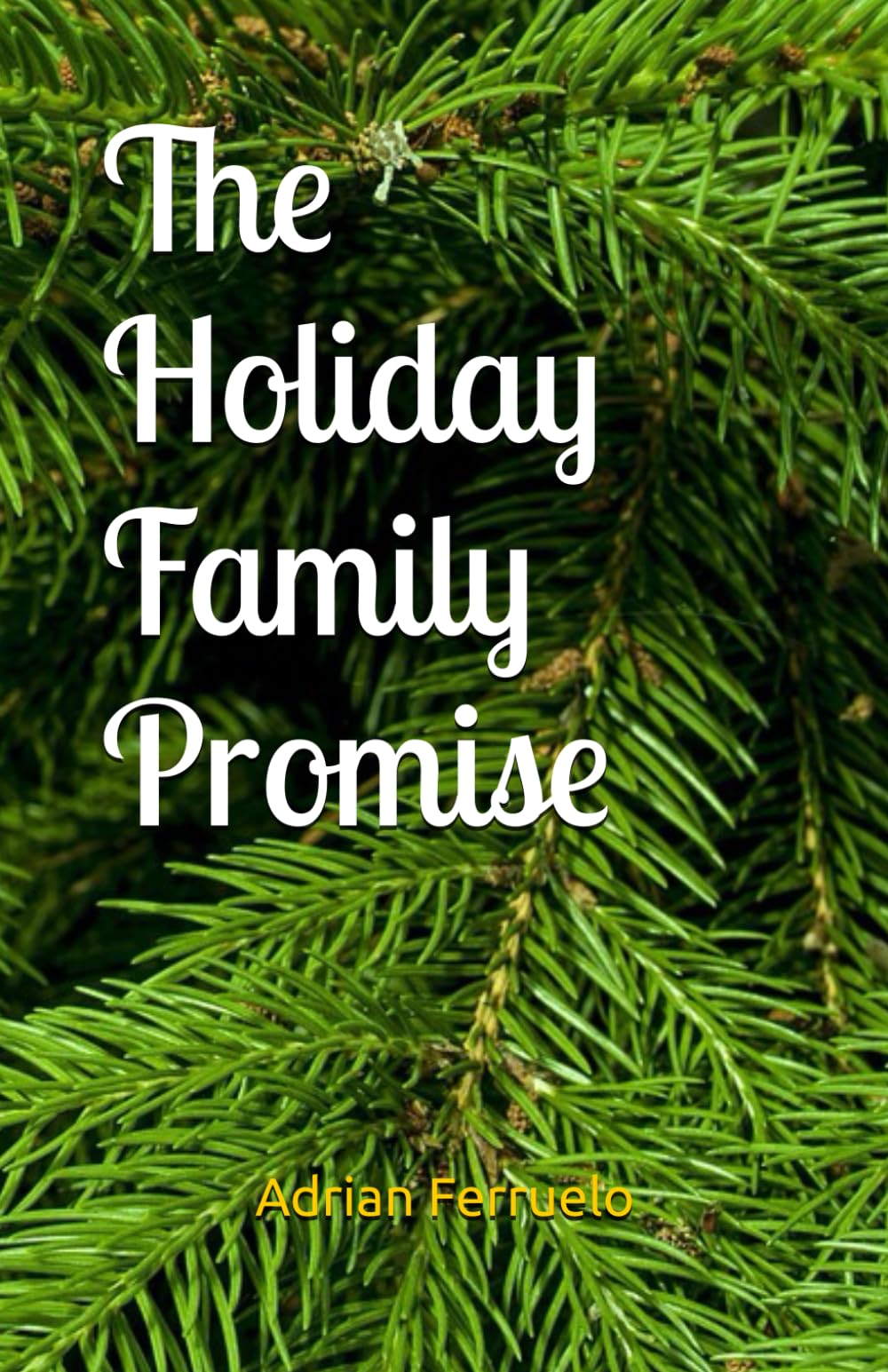 The Holiday Family Promise