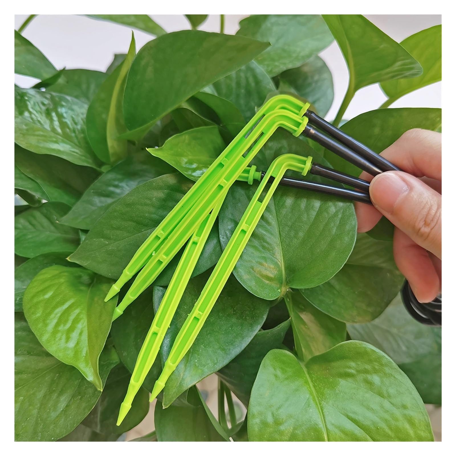 50-1000 goteros verdes de 1/8 pulgadas for sistema de microgoteo de jardín | Emisores de flechas curvadas for riego por goteo de jardines en macetas.(Black-1000pcs)