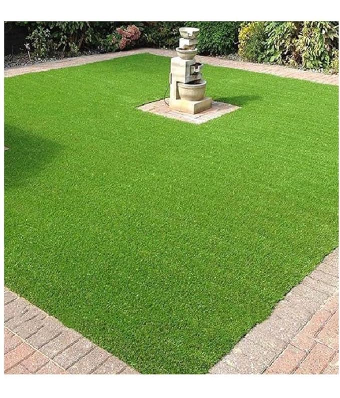 Indian lawn grass seeds for home garden, Home garden indian seeds for