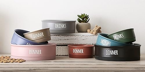 Miniatura 6 de Bone Dry Cuencos de cerámica para mascotas para perros y gatos, aptos para lavavajillas y microondas, parte inferior antideslizante para una