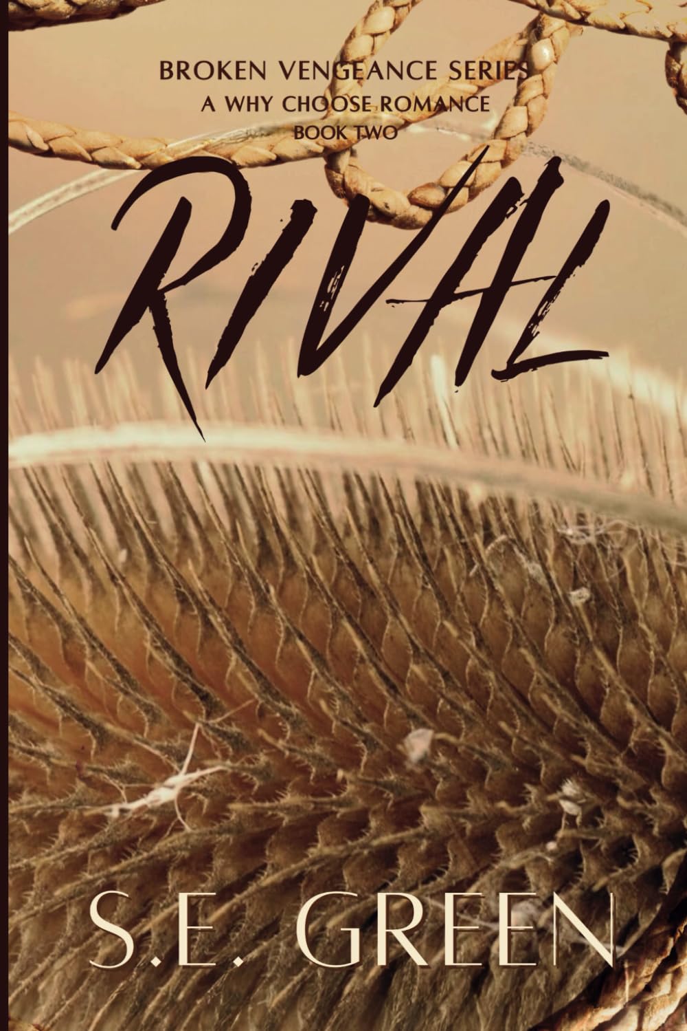 RIVAL: An Enemies to Lovers Why Choose Country Romance (Broken Vengeance Series)