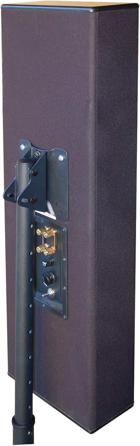 The Chorus Audiophile PA Speaker, Satin Black (Each)