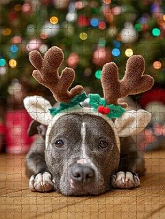 1000 Piece Puzzle for Adults Festive Pit Bull Wearing Antlers A Challenging and Sweet, Patient Jigsaw Game for Canine admirers Fun Wall Art and Family Night Gift Idea