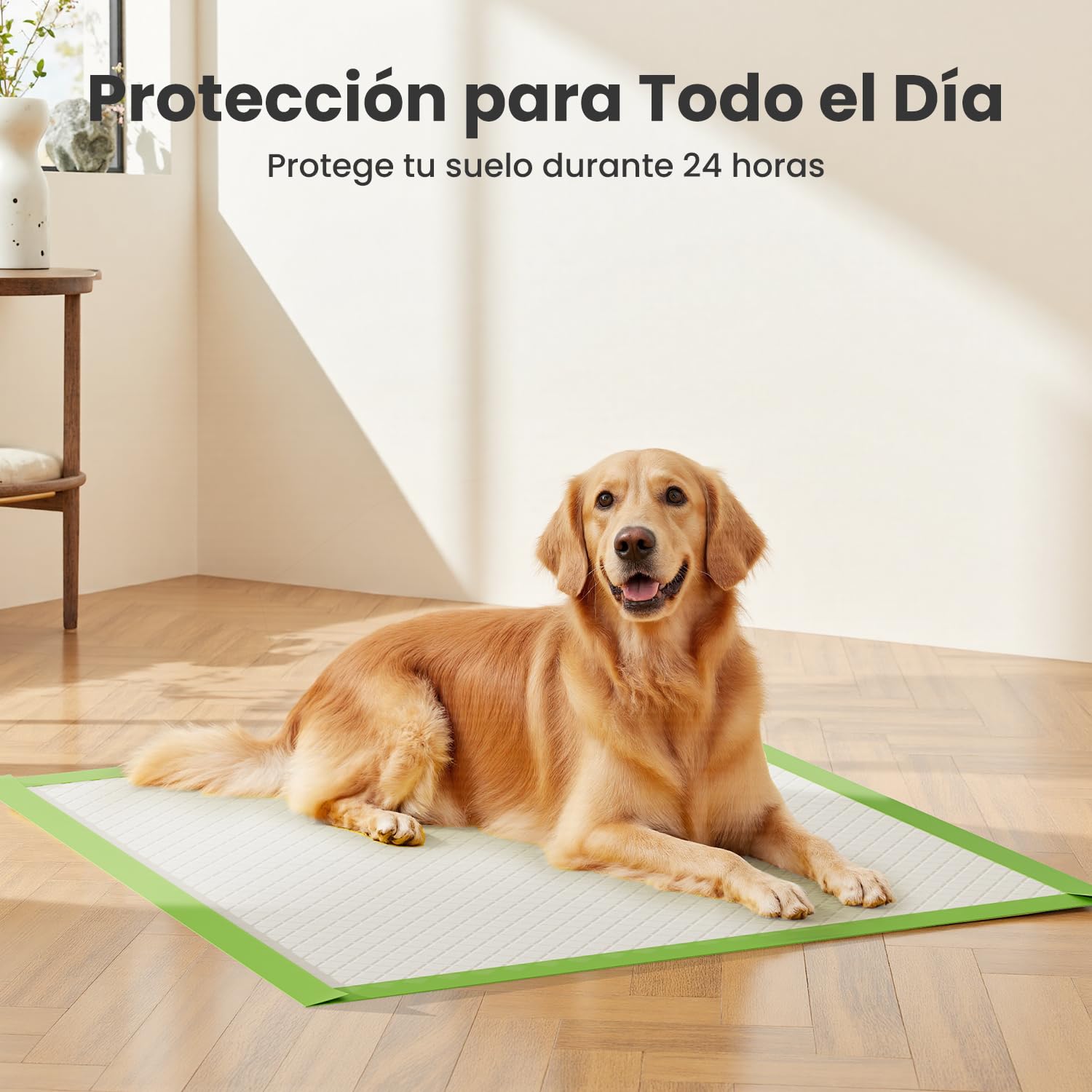 Gardner Pet Empapadores Perros Grandes 70x85 cm, Súper Absorbentes, Prueba de Fugas, Secado Rápido, Pipican para Perros en Casa, 30 Piezas