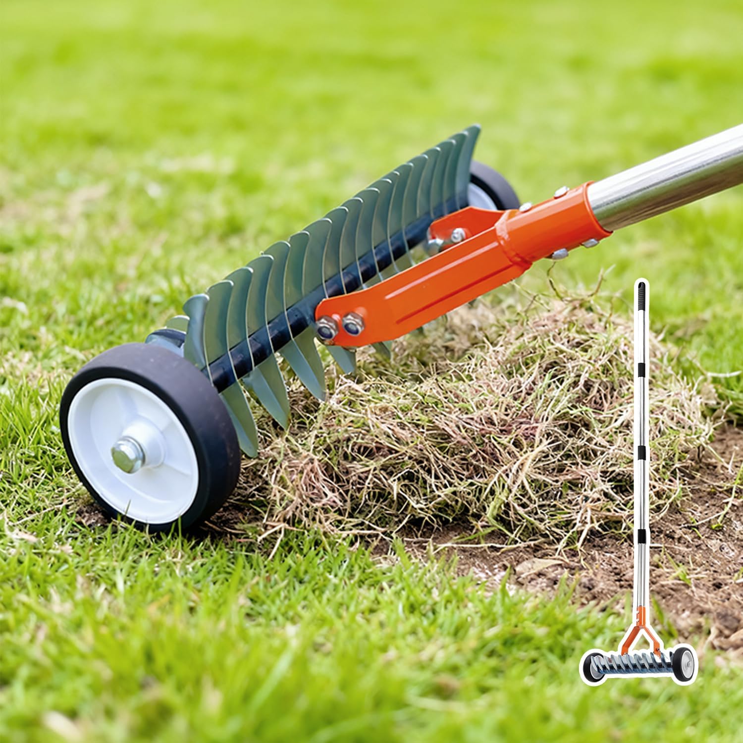 Dethatching Rke Amazon.com : Wheeled Dethatching Rake for Lawn - 15