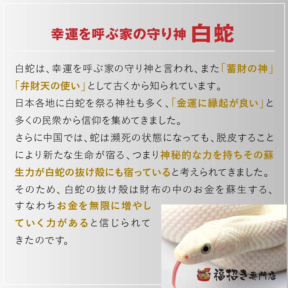 Amazon.co.jp: [福招き専門店宝] 【神社祈願】白蛇 抜け殻