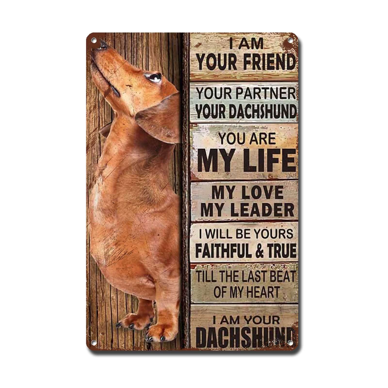 Preeklen Tin Sign 089 Metal Sign I Am Your Friend Gift For Dachshund Lovers Dachshund Vintage Dachshund Wall Art Dachshund Art Prints Bar Sign For Restaurant 12X16 Inch Metal Tin Signs