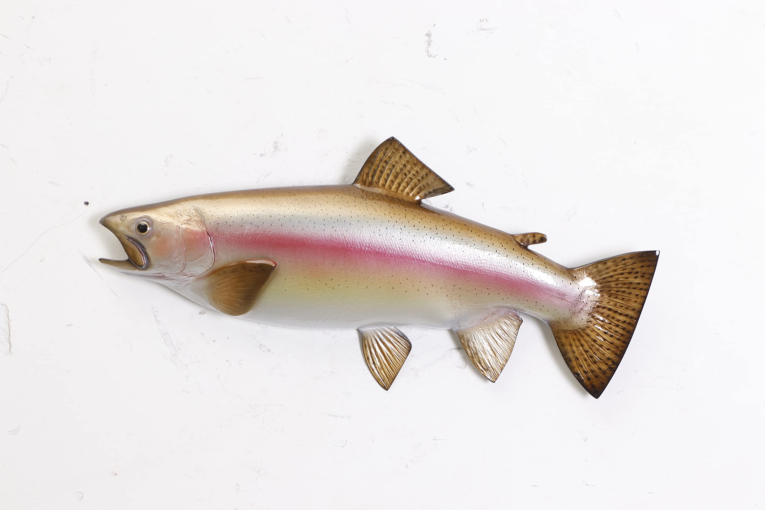 Handpainted Rainbow Trout Wall Mount Decor Plaque Game Fish Replica 21-inch Half-sided
