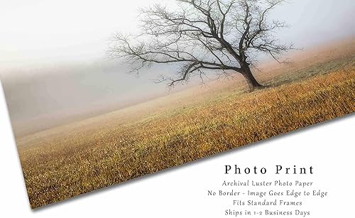 Miniatura 7 de Nature Photography Print (Not Framed) Picture of Tree Shrouded in Fog on Autumn Morning in Great Smoky Mountains Tennessee Appalachian Wall Art