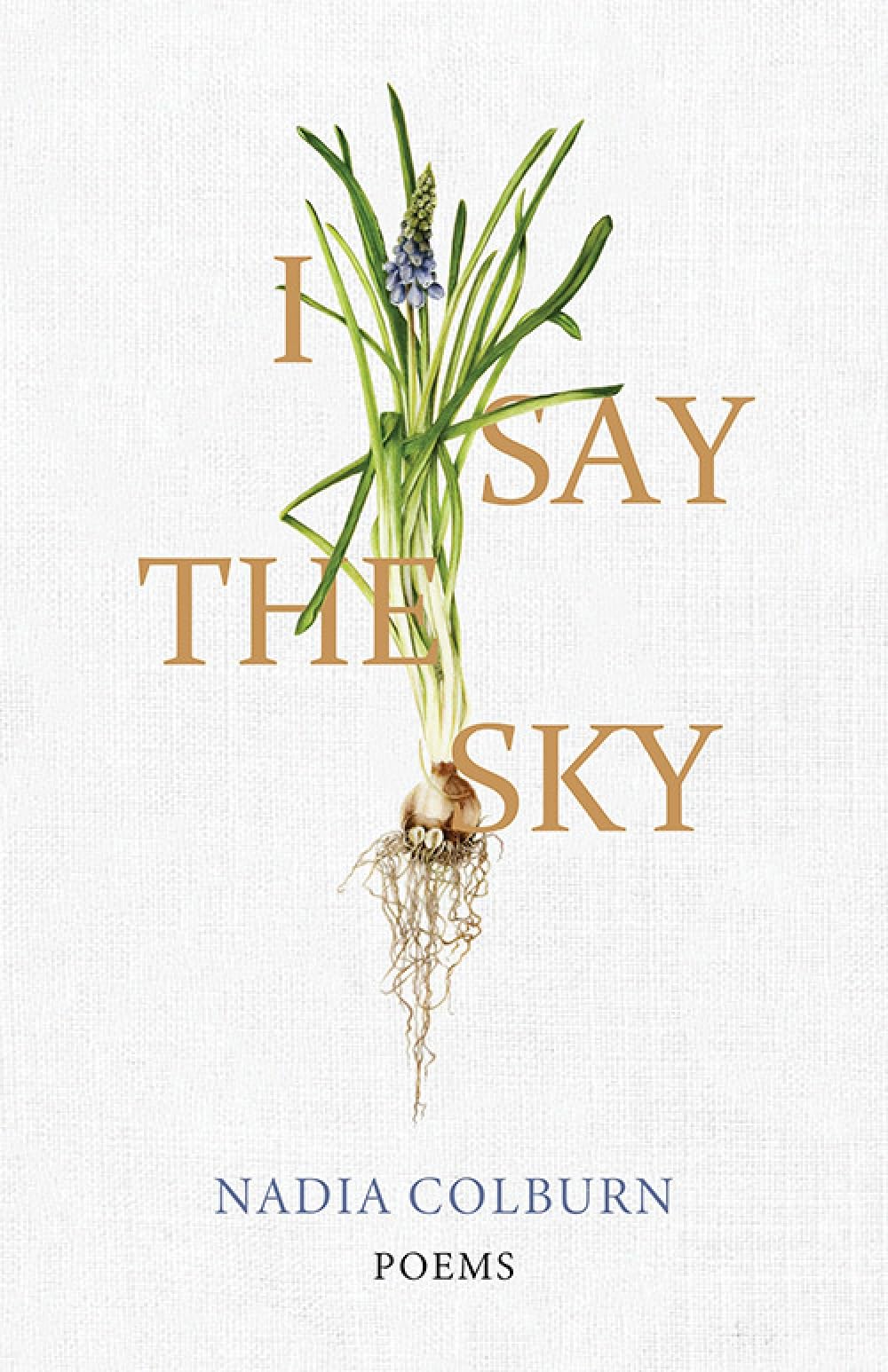 I Say the Sky: Poems (University Press of Kentu. Colburn Paperback**
