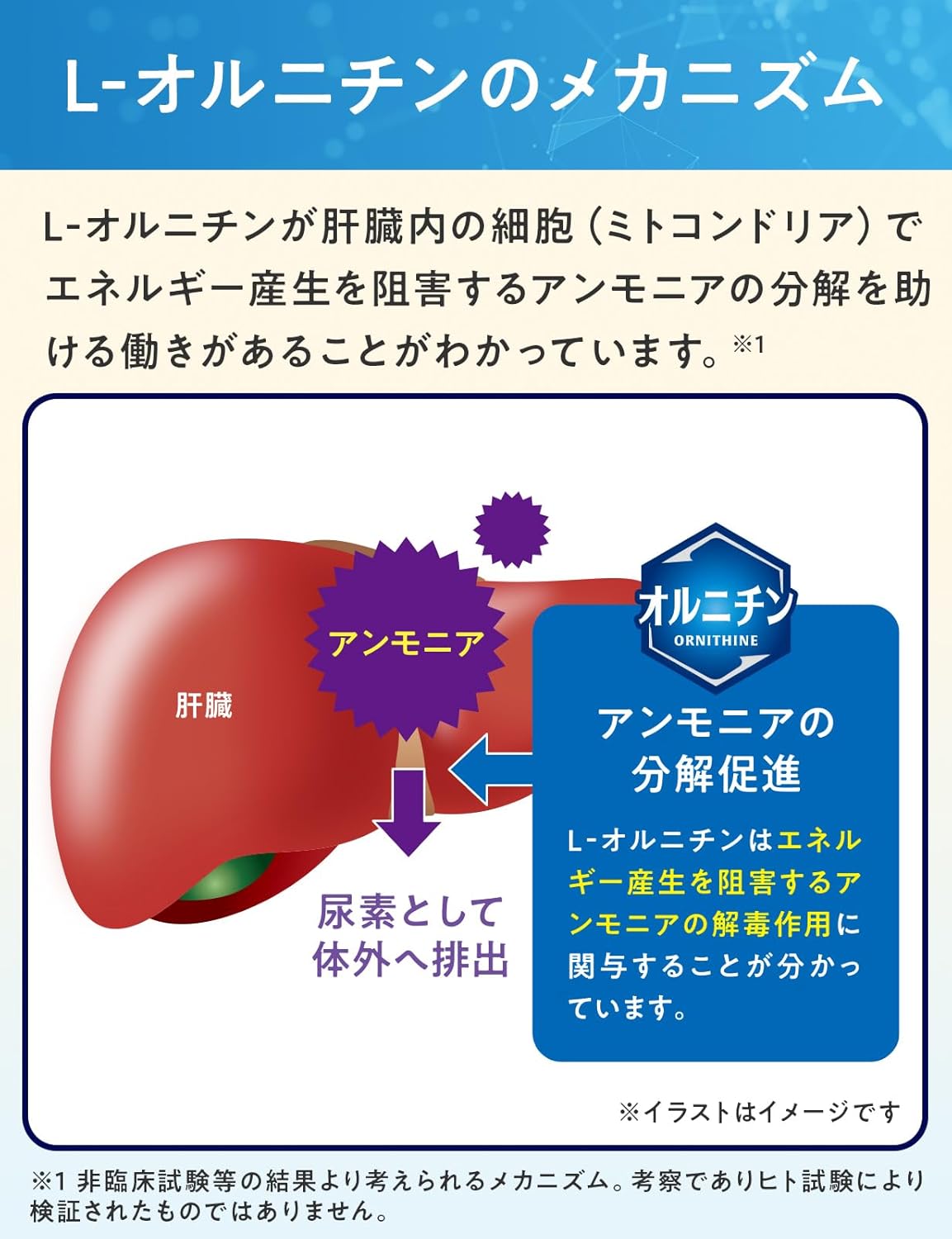 【限定】キリン オルニチンPRO 疲労感 ＆ 気持ちケア + 睡眠の質 サプリ 機能性表示食品 オルニチン ストレス 緊張 穏やかな
