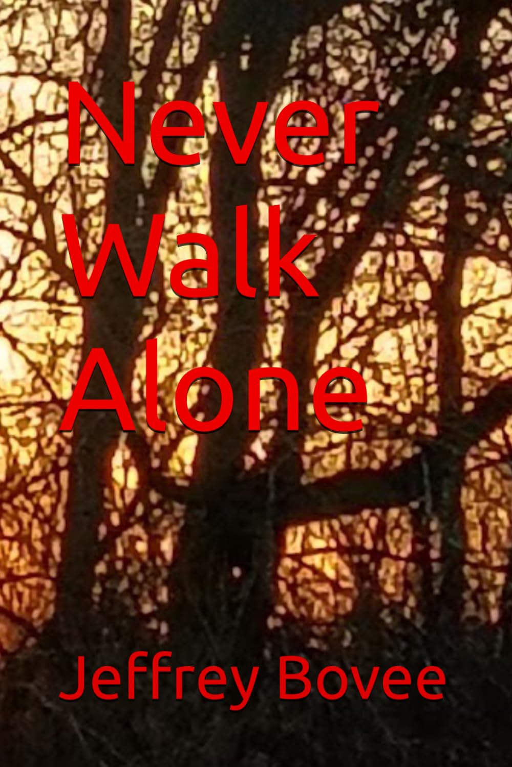 Never Walk Alone