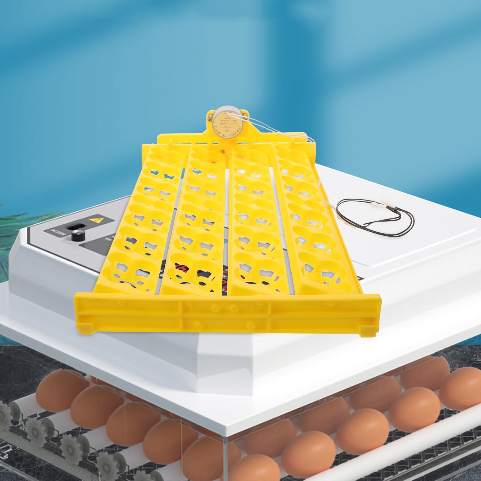 Happyyami Bandeja Giratoria Automática Para Huevos Incubadora Volteador Seguro Y Reutilizable Para Gallinas Patos Codornices Con Motor Integrado 15.74X9.84X0.78In