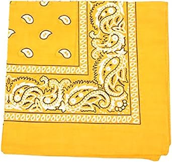 Mechaly Paisley 100% Polyester Unisex Bandanas - 30 Pack - Bulk Wholesale