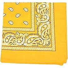 Mechaly Paisley 100% Polyester Unisex Bandanas - 30 Pack - Bulk Wholesale