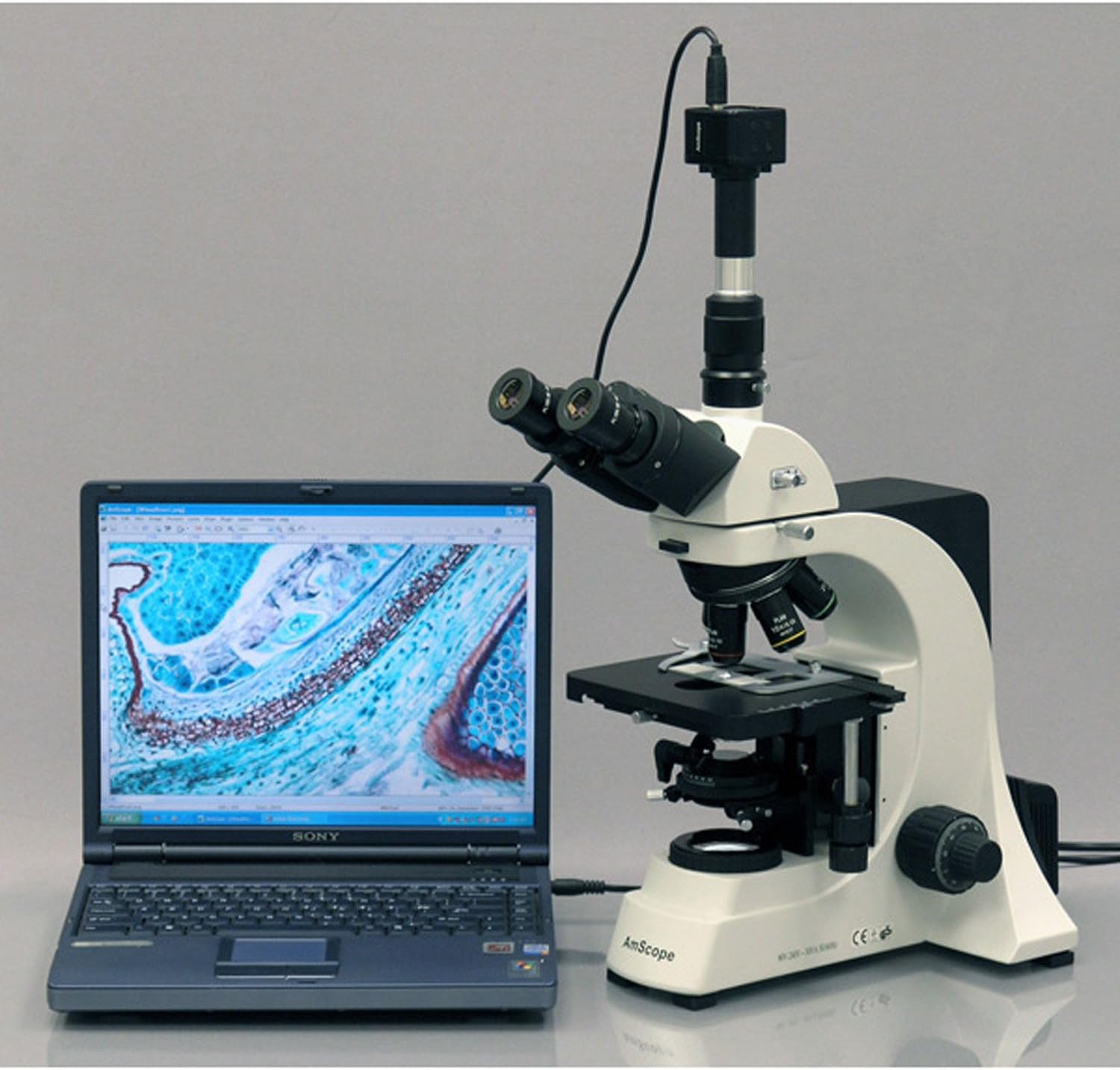 Exclusive Discount 90% Price AmScope T700D Professional Trinocular Compound Microscope, 40X-2500X Magnification, PL10x, WH20x, and WH25x Super-Widefield Eyepieces, Quintuple Nosepiece with 5 Infinity Plan Objectives, Brightfield, Kohler Condenser, Double-Layer Mechanical Stage