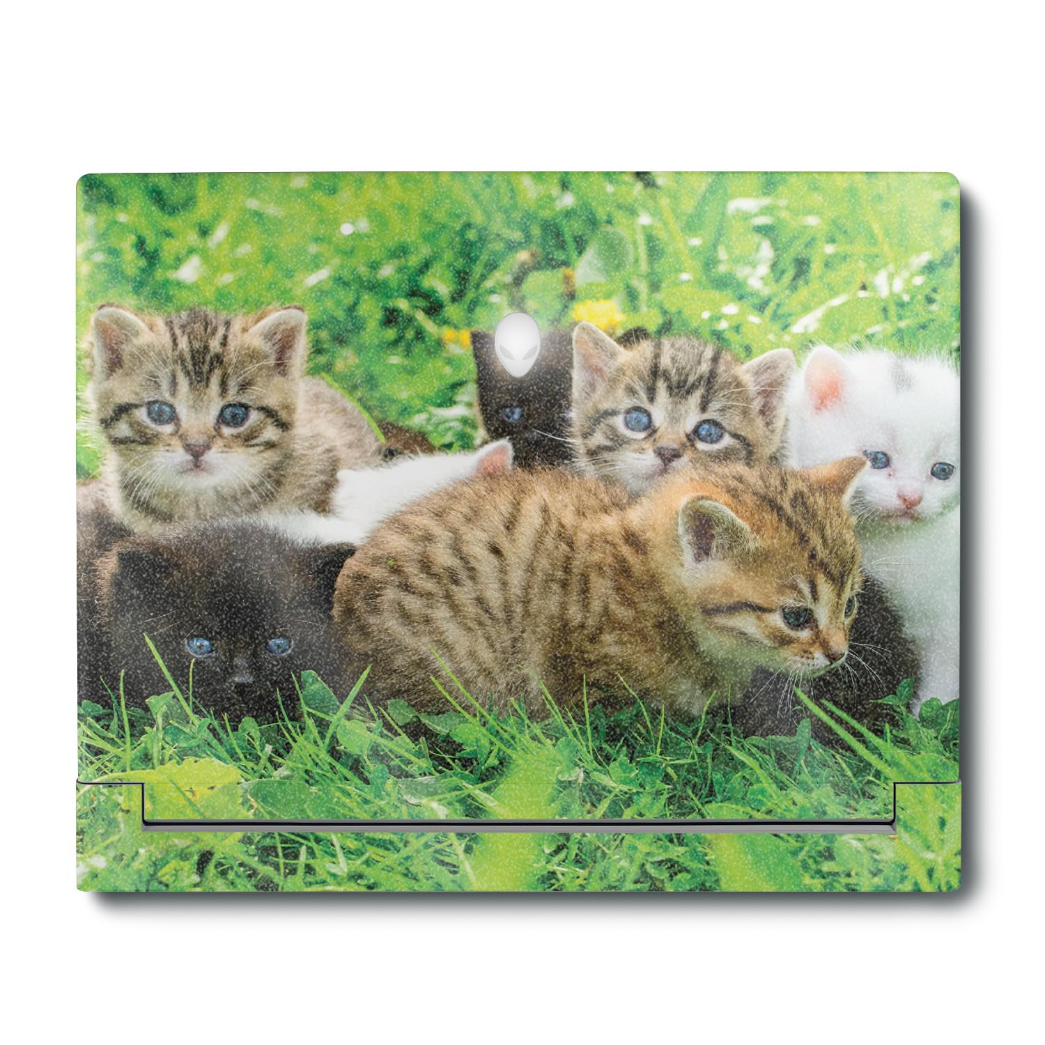MightySkins Glossy Glitter Skin Compatible with Alienware X16 R1 (2023) Full Wrap Kit - Field of Kittens | Protective, Durable High-Gloss Glitter Finish | Easy to Apply | Made in The USA