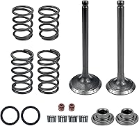 LEAPINGKNIGHT Intake Exhaust Valve Springs Stem Seals for 56mm YX140 150CC 1P56FMJ W063 Engines - Dirt Pit Bike ATV Quad Kit