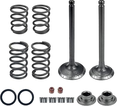 Intake Valve and Exhaust Valve Springs Stem Seals Compatible with 56mm YX140 150CC 1P56FMJ W063 Horizontal Engine Dirt Pit Bike ATV Quad