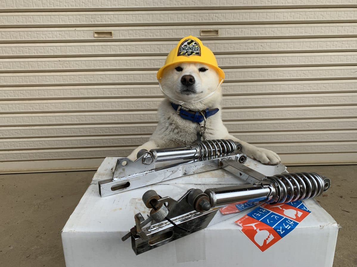 バレエ monkey15 Amazon.co.jp: Z50J AB27 Rare Hayashi Hayashi Monkey Gorilla