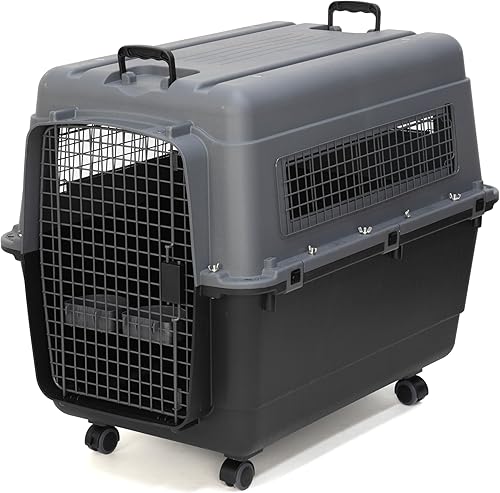 SportPet Designs Jaula de perro de viaje con puerta de alambre aprobada por aerolíneas de plástico, XL