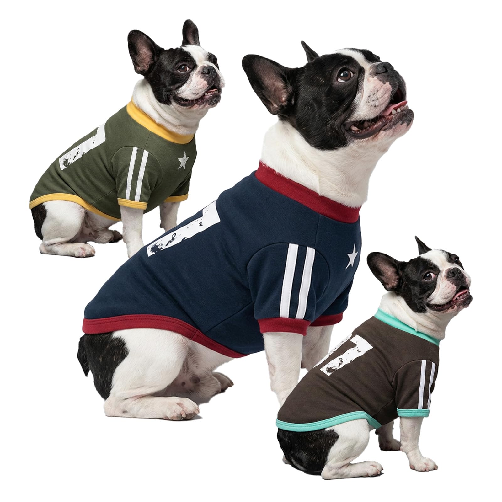 LUVMOJO 3-Pack Sweater