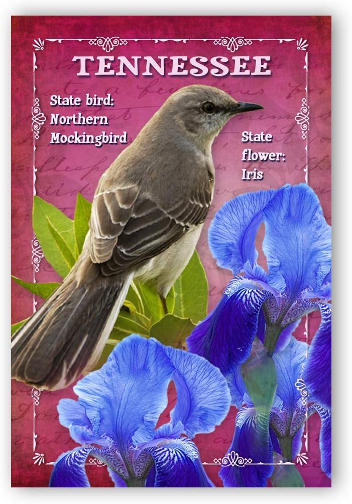 TENNESSEE BIRD AND FLOWER postcard set of 20 identical