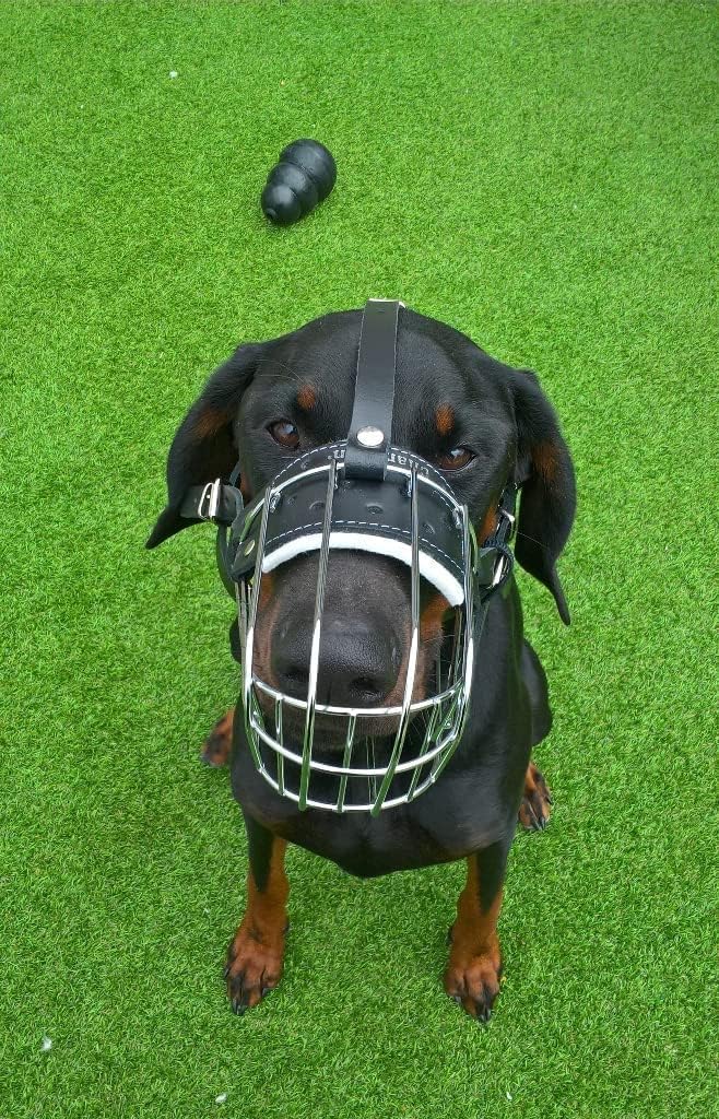 Metal Basket Dog Muzzle Strong Metal Wire Muzzle for Doberman, Malinois and Other Dogs (Silver Basket/Brown Leather, 5D)