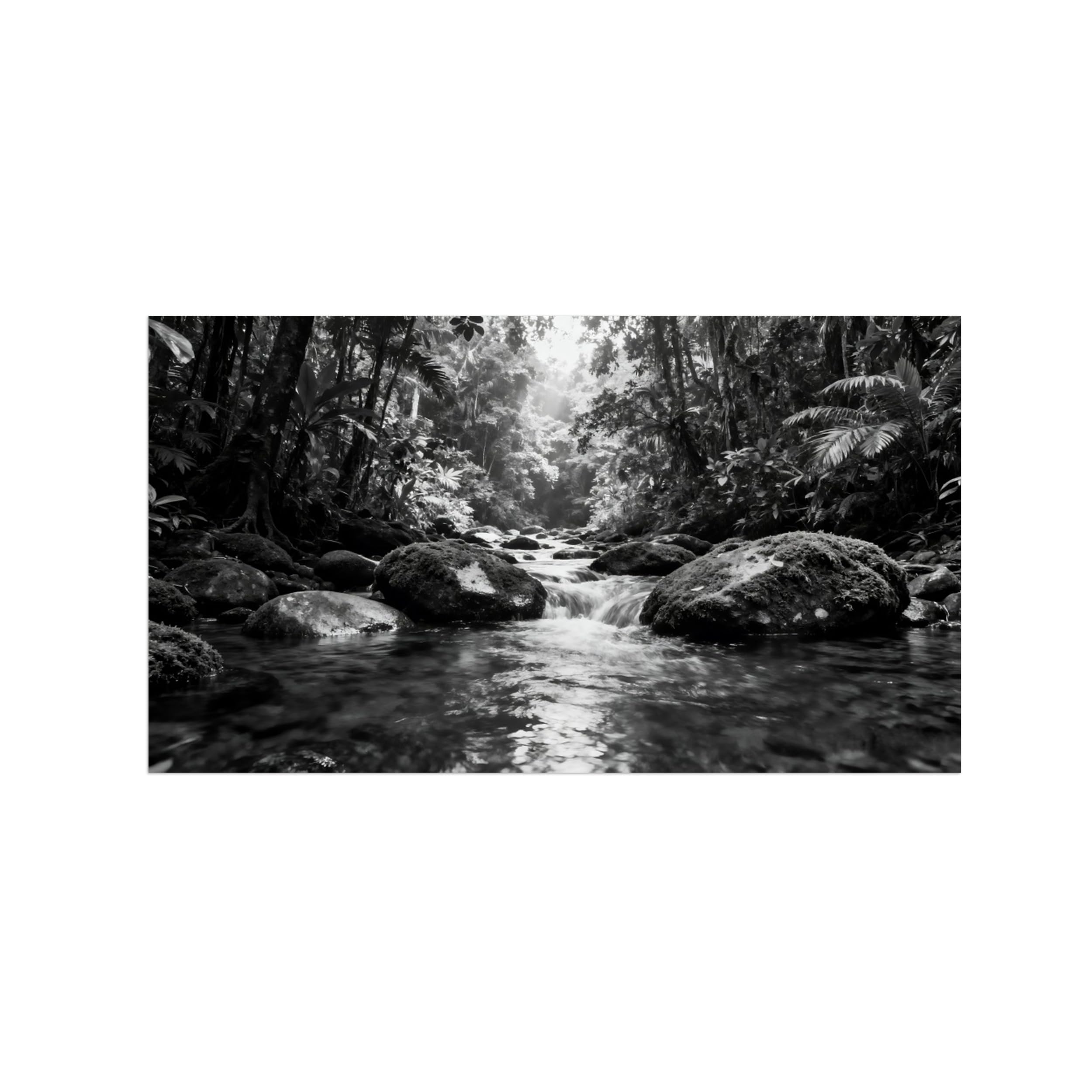 OZPWBVY Black White Landscape Wall Art. Tree River. Picture 40x70cm Framed