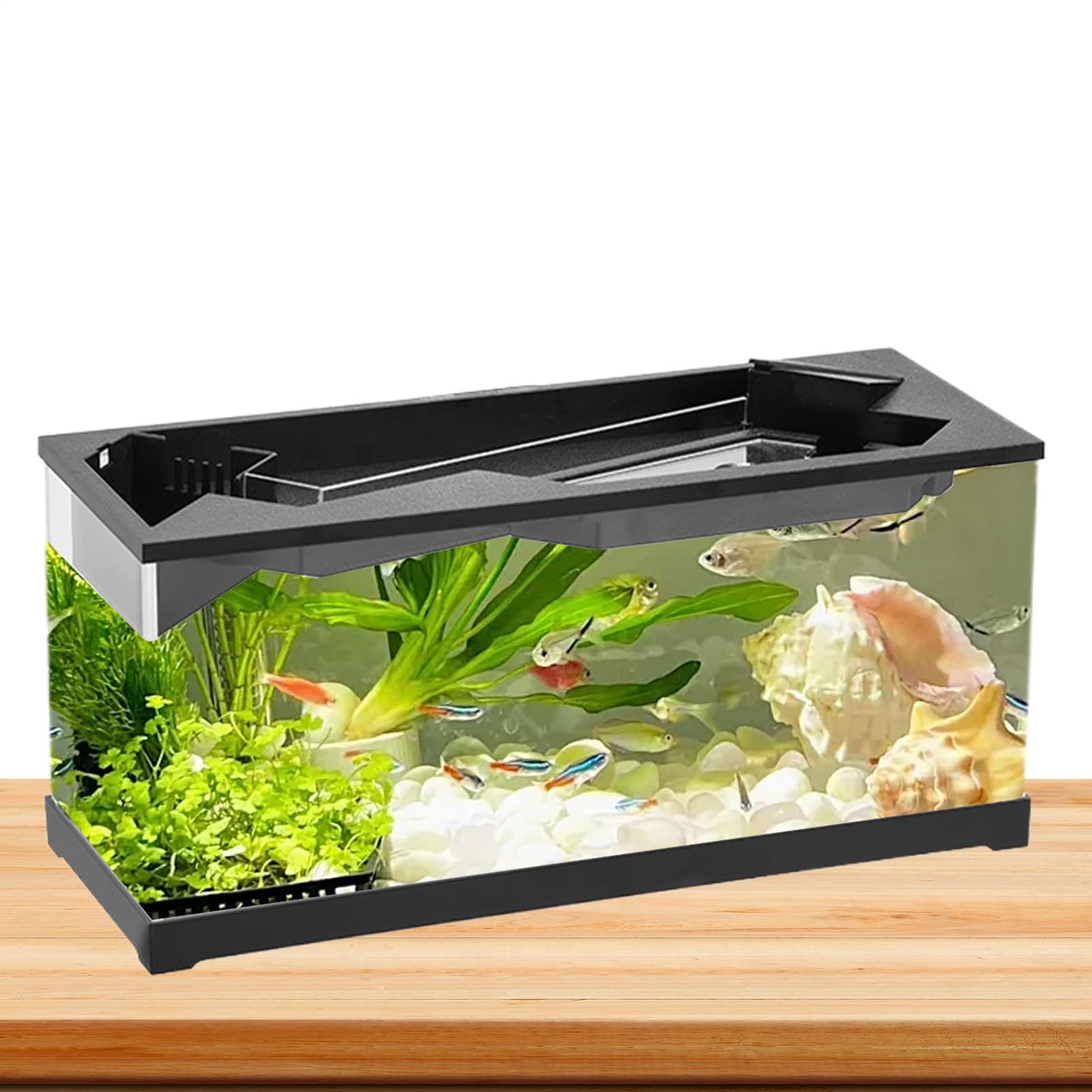 Petit Aquarium, Petit Aquarium avec Filtre Aquarium de Bureau en Acrylique | Petit bol à poisson avec oxygénation de filtration pour les crevettes, reptile