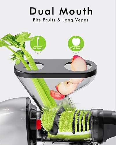 Miniatura 2 de SIFENE Exprimidor de prensa en frío, exprimidor compacto de masticación lenta con canal de alimentación doble, extractor de frutas y verduras fácil