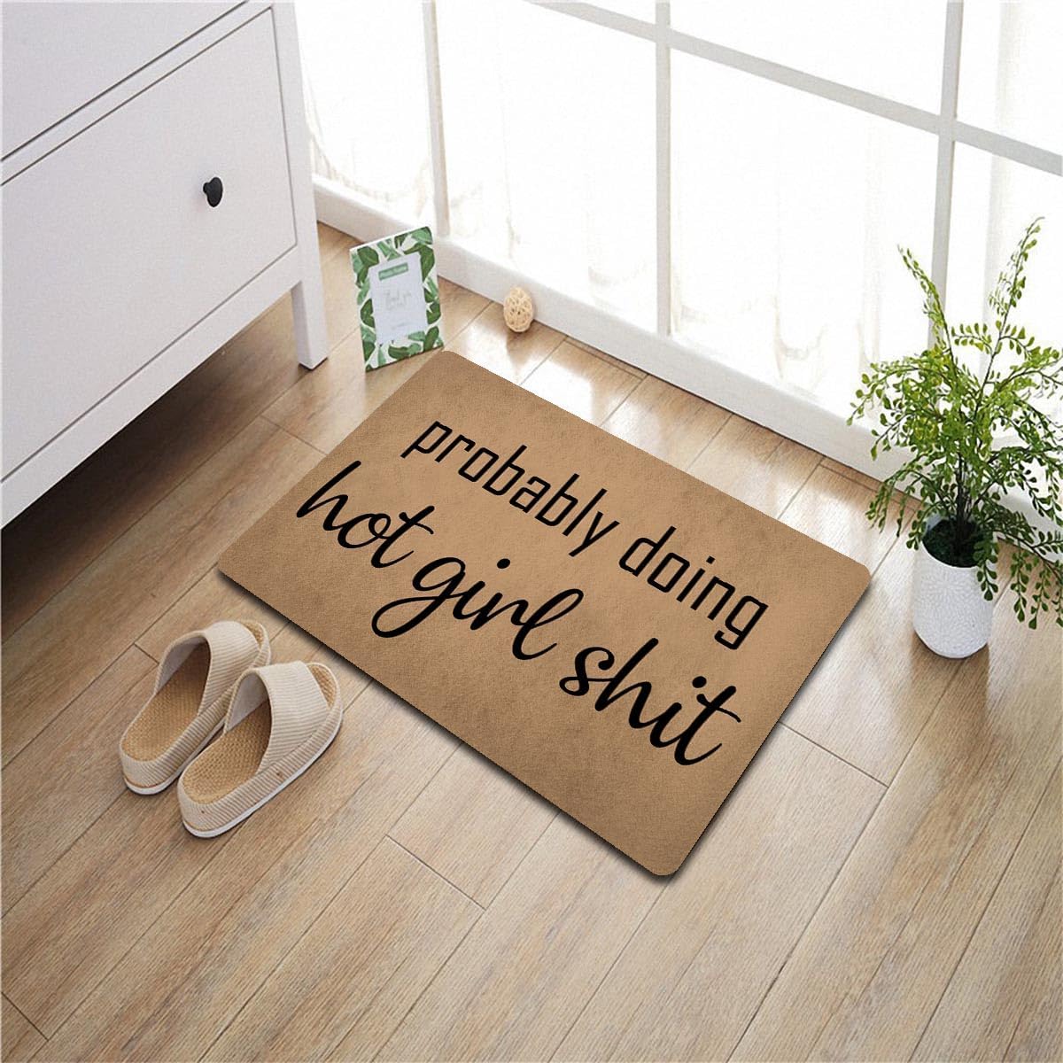 Funny Welcome Doormat (23.7 in X 15.6 in) Anti-Slip Rubber Back Entrance Way Indoor Front Porch Decor Rugs House Warming Gift (Probably Doing Hot Girl Shit)