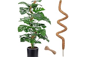 60 Inch Moss Pole for Monstera: Plant Growth Booster
