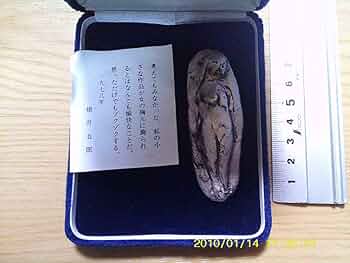 ブローチ　掛井五郎 掛井五郎 ブローチ | gallery ten