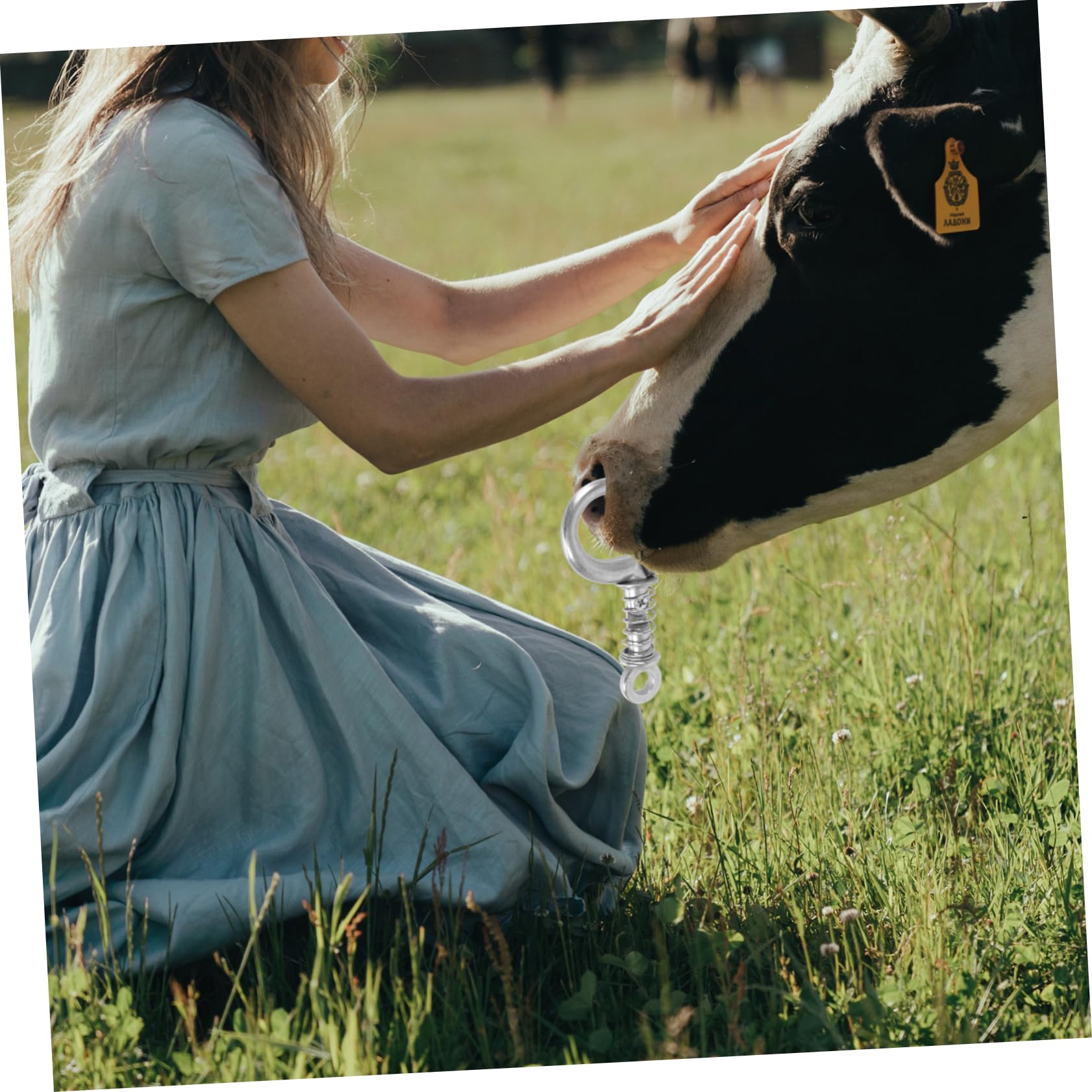 SUPVOX 1Pc Stainless Steel Livestock Nose Ring Traction Tool for Cattle Cow Nose Pliers Wear Resistant and Smooth Surface for Long Term Use