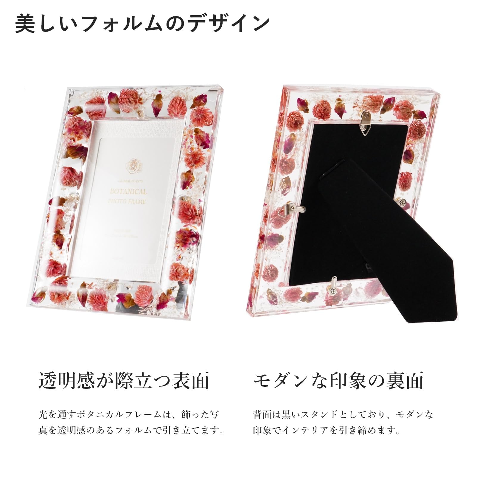 Amazon.co.jp: RingLeaf ボタニカルフレーム 美しいドライ
