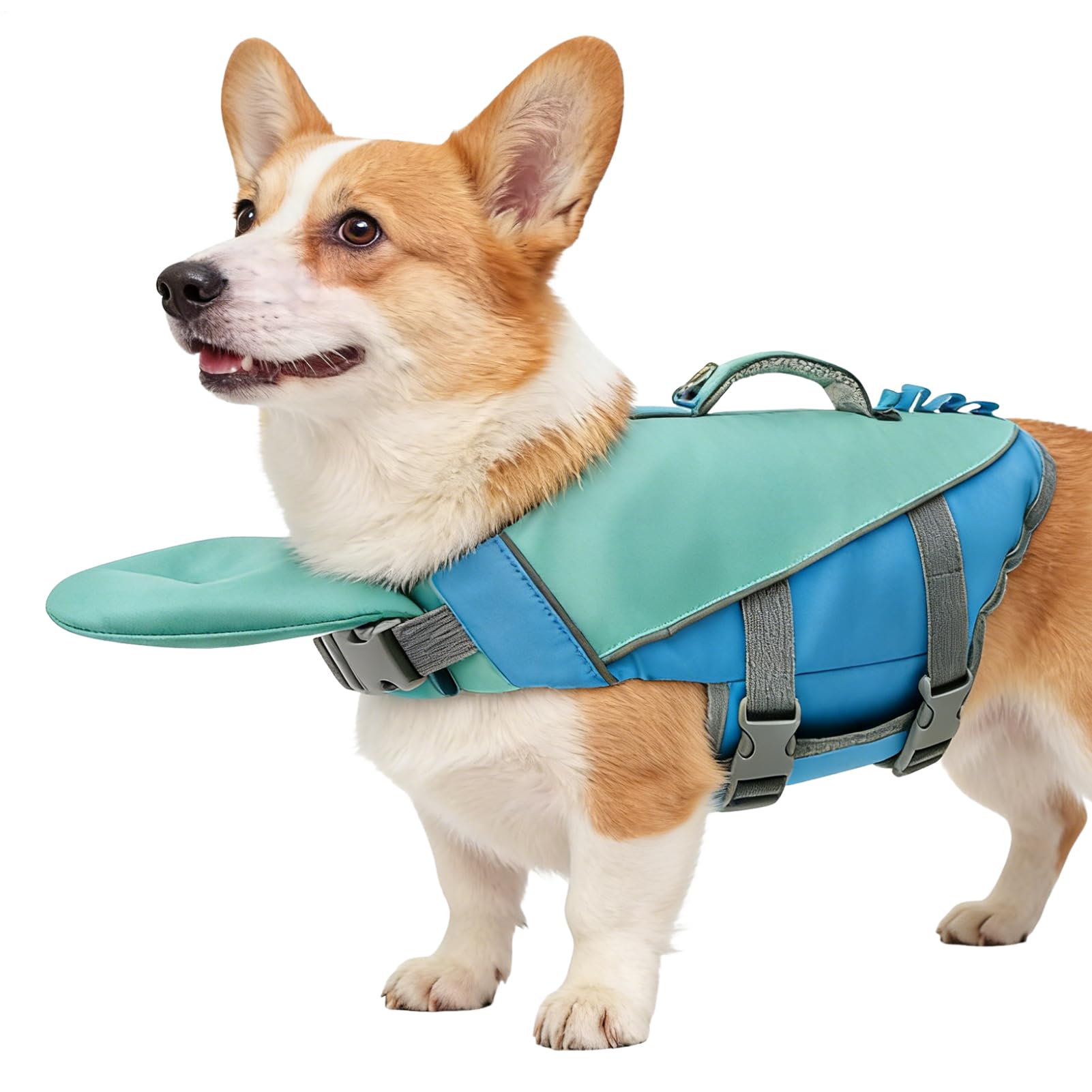 Gilet de sauvetage pour chien idéal en camping et rivière