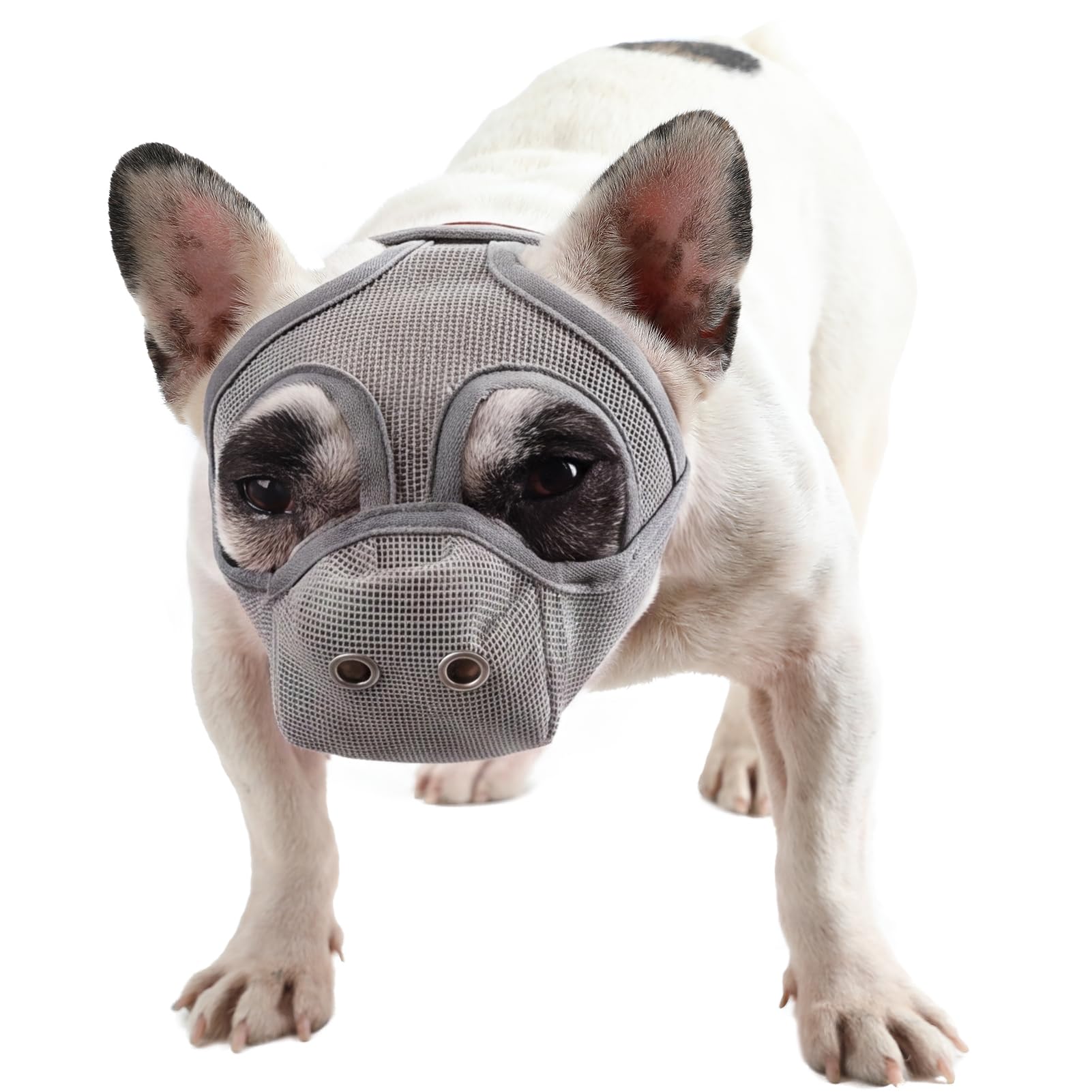 French Bulldog Muzzle, Comfortable Flat-Faced Dog Muzzle for Frenchies