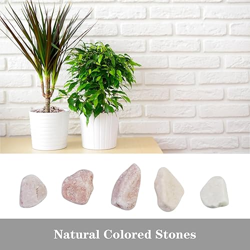 Miniatura 4 de Arena 100% natural, mini arena de sílice blanca multiusos para hogueras, acuarios y paisajismo, 5 libras