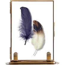 Gold Floating Picture Frames, With Corner Bracket Pressed Flowers Glass Picture Vertical Floating Photo Frametabletop Diy Display Frames For Pictures, Flowers Art, Wedding D cor 4x6 Square