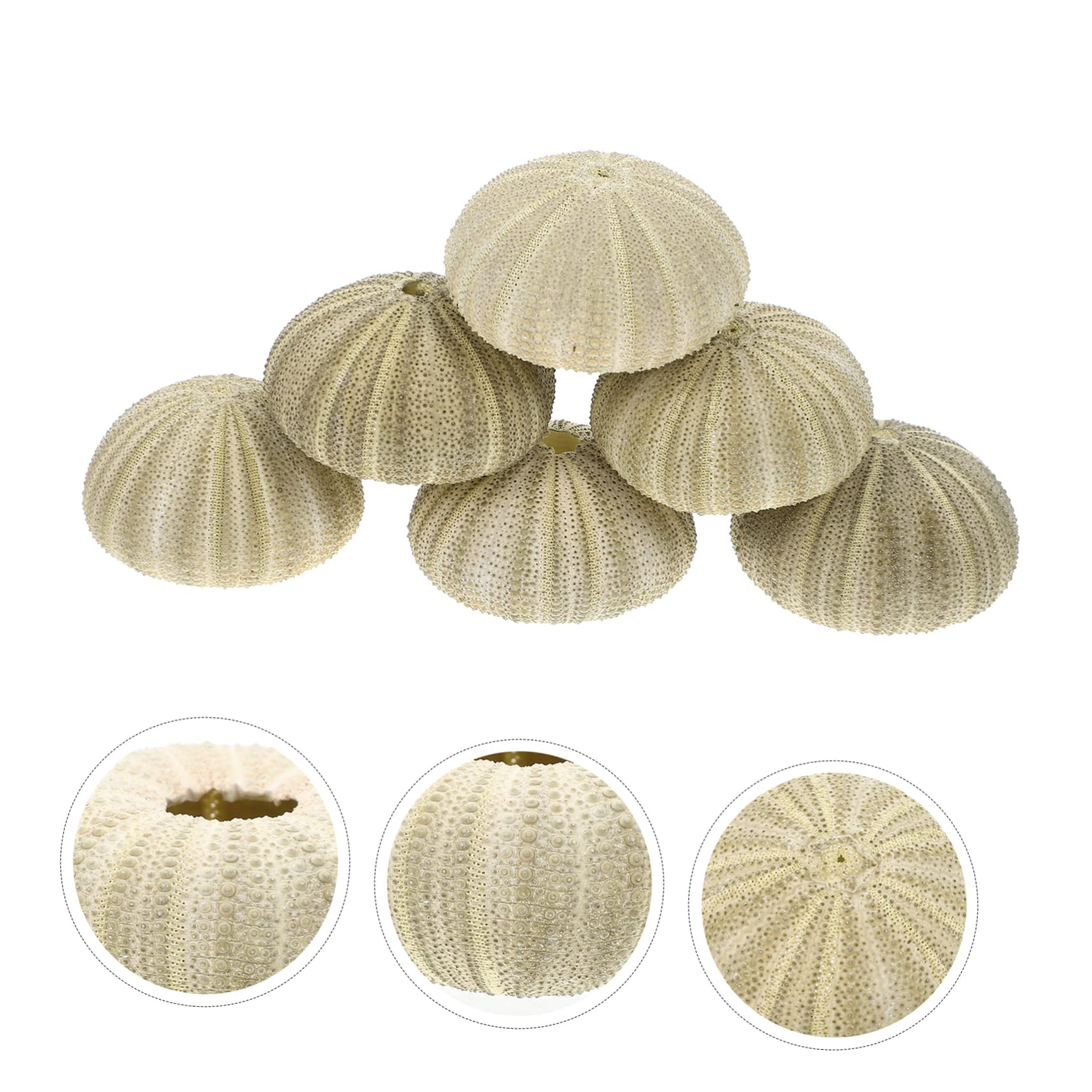 OUNONA 4 Ensembles Pots À Plantes Aériennes Décorations pour Aquarium Et Plantes Naturelles 6 Pièces * 4