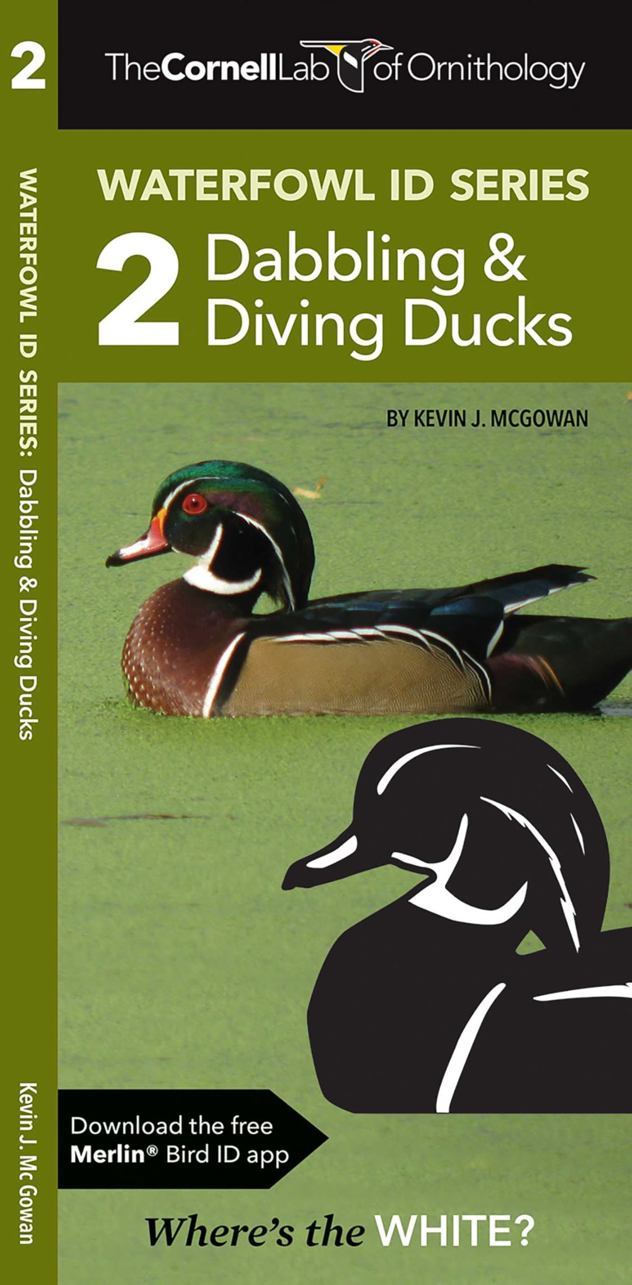 Cornell Lab of Ornithology Waterfowl Id Series: 2 Dabbling & Diving Ducks: Cornell Lab of Ornithology Bird Id Series