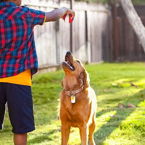 Miniatura 8 de 2 pelotas interactivas para perros, adecuadas para perros pequeños y medianos, juguetes de felpa chirriantes para perros, juguetes masticables para