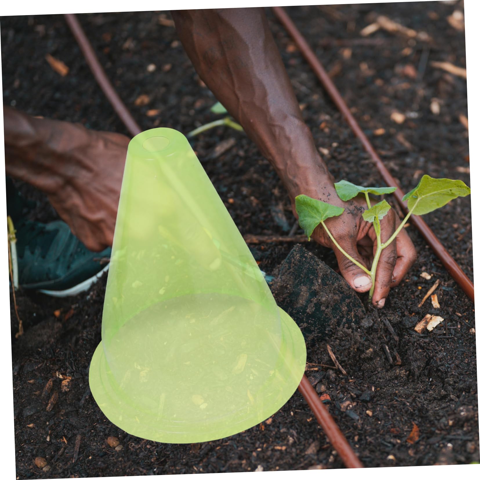 12pezzi Coperture per Piante Invernali Riutilizzabili Protezione Antigelo per Piante da Esterno Campane da Giardino Prese d Aria e Design Traslucido per Flusso d Aria e Luce