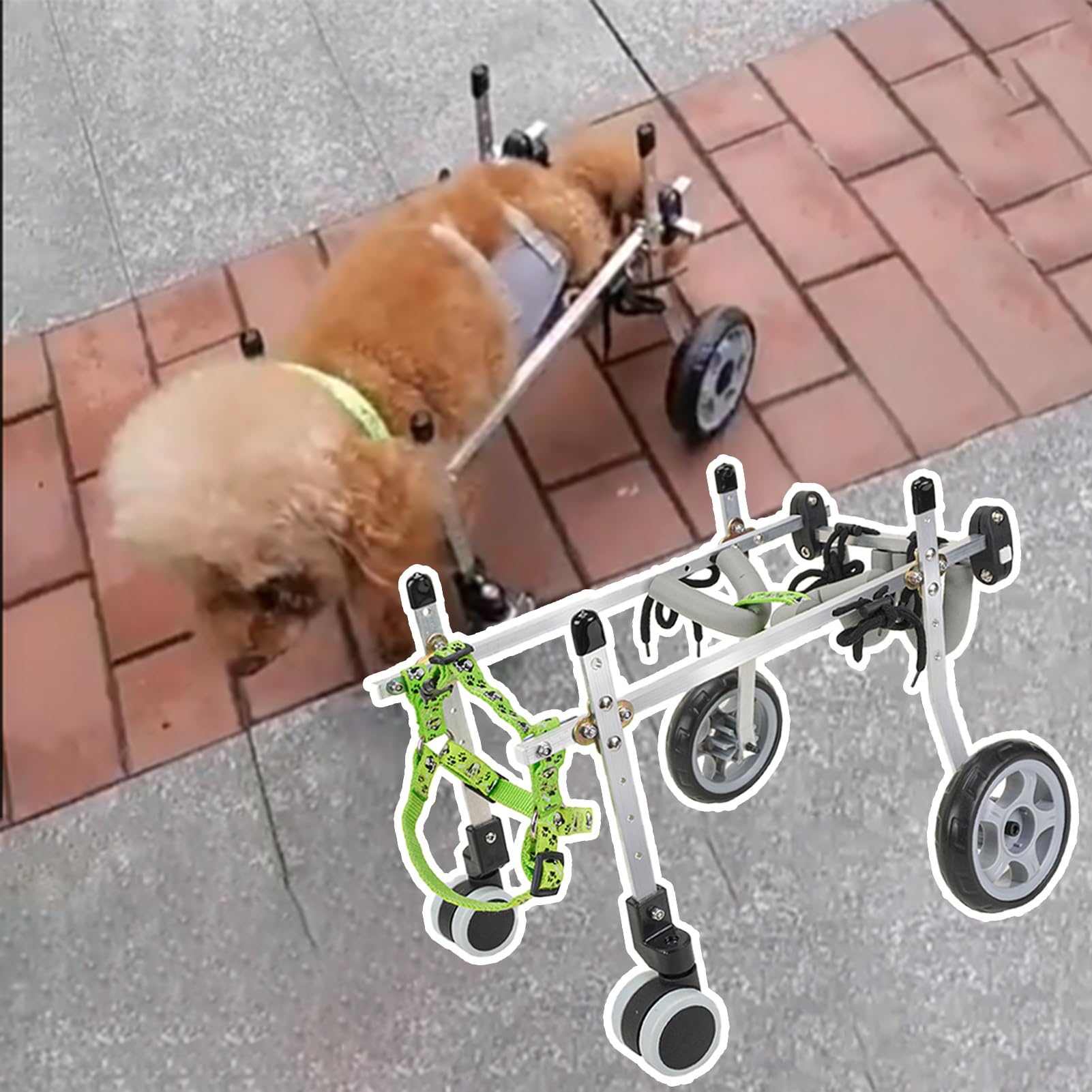 Sedia a rotelle per cani a 4 ruote per piccoli animali domestici, carrello per cani feriti, comodo rimorchio per bici per animali domestici per camminare facilmente