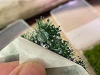 Review Image by Rae Downs Rae Downs